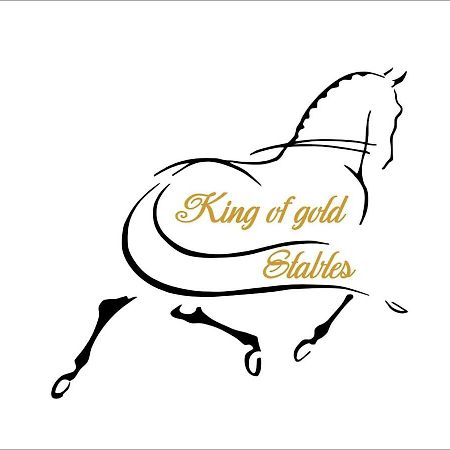 King Of Gold Stables Appartement Met Stalling Voor 5 Paarden 祖滕达尔 外观 照片