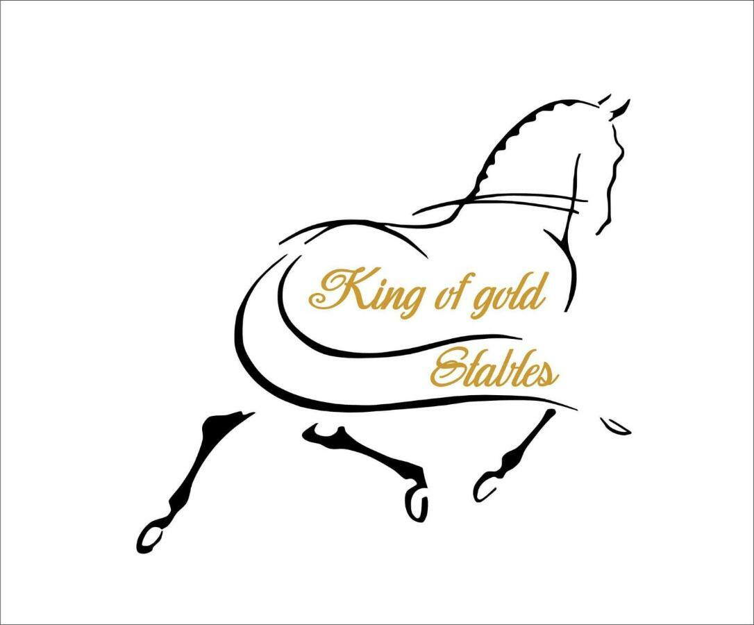 King Of Gold Stables Appartement Met Stalling Voor 5 Paarden 祖滕达尔 外观 照片